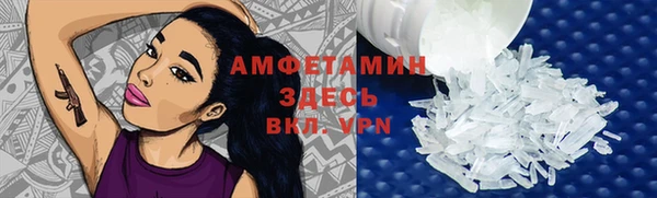 спиды Богородицк