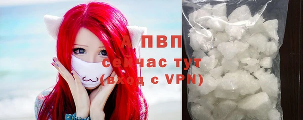 спиды Богородицк