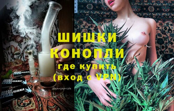 спиды Богородицк