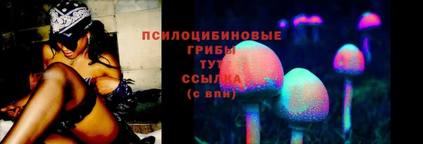 спиды Богородицк