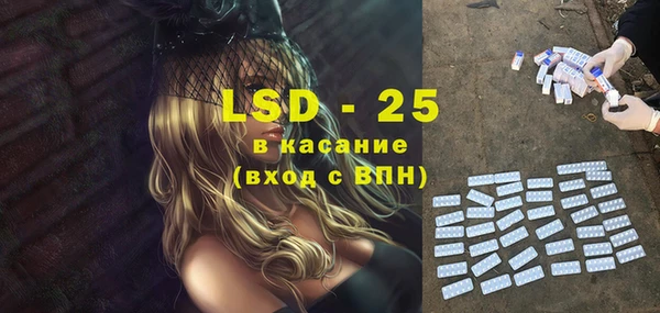 спиды Богородицк