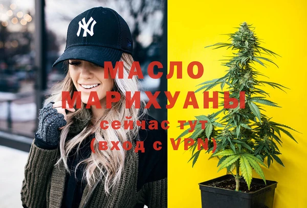 спиды Богородицк