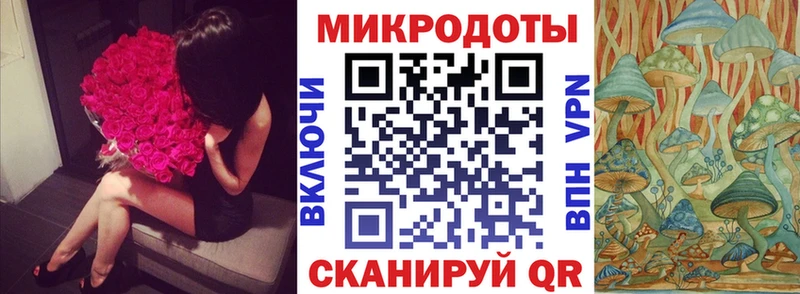 Галлюциногенные грибы GOLDEN TEACHER  Купить  Кудрово 